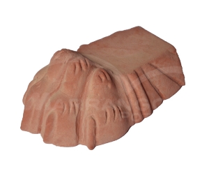 Piedino Zampa di Leone